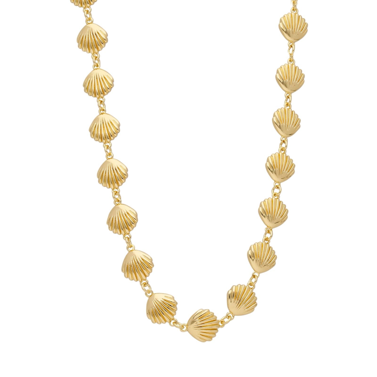 Collar Concha