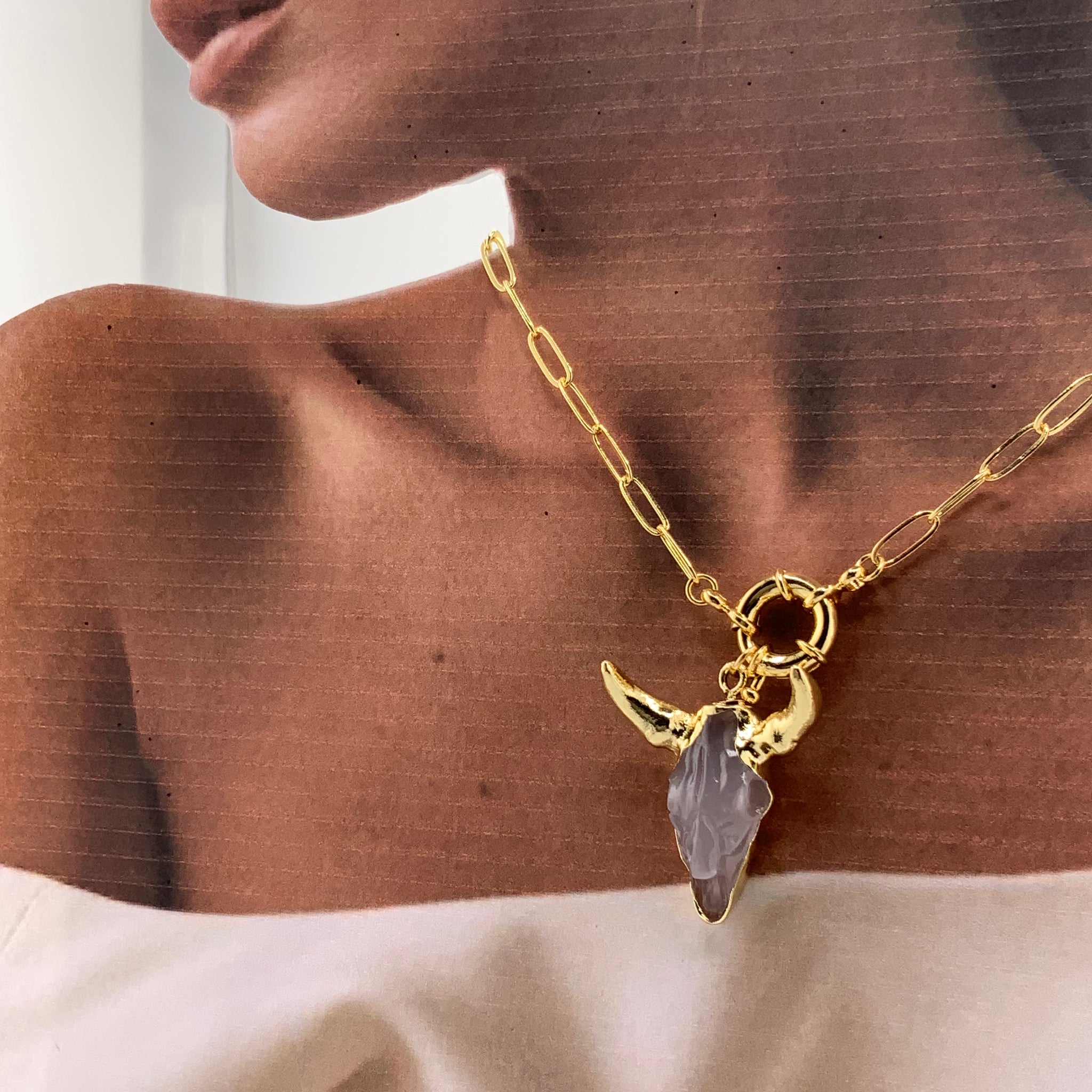 Collar Cabeza de Toro